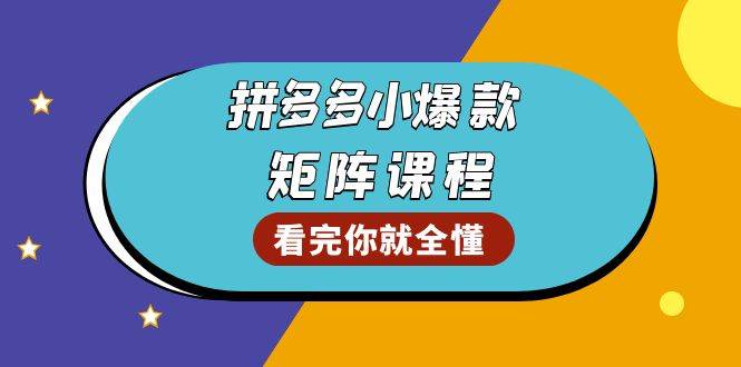 (13699期)拼多多爆款矩阵课程:教你测出店铺爆款,优化销量,提升GMV,打造爆款群网创吧-网创项目资源站-副业项目-创业项目-搞钱项目网创吧