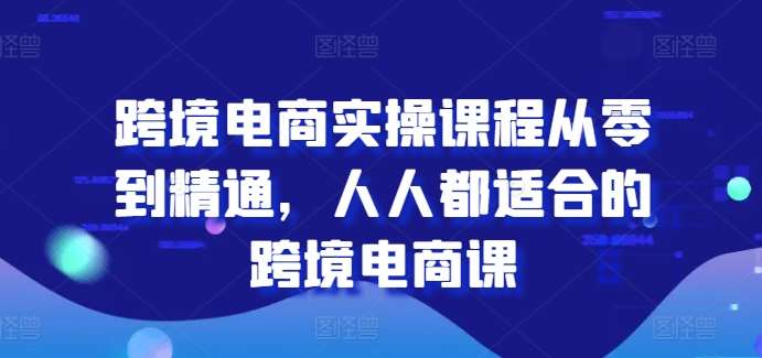 跨境电商实操课程从零到精通,人人都适合的跨境电商课网创吧-网创项目资源站-副业项目-创业项目-搞钱项目网创吧