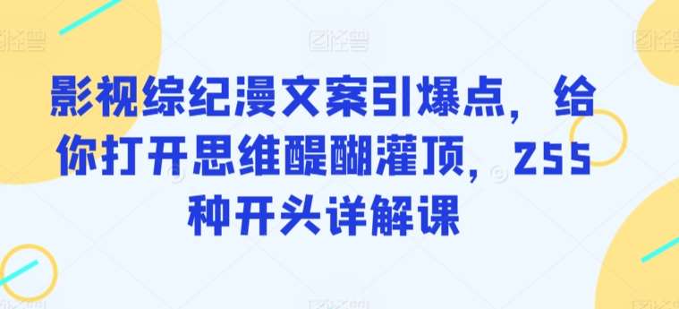 影视综纪漫文案引爆点，给你打开思维醍醐灌顶，255种开头详解课网创吧-网创项目资源站-副业项目-创业项目-搞钱项目网创吧
