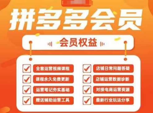2025拼多多运营实战课,40节全流程教学,覆盖拼多多运营全链路网创吧-网创项目资源站-副业项目-创业项目-搞钱项目网创吧