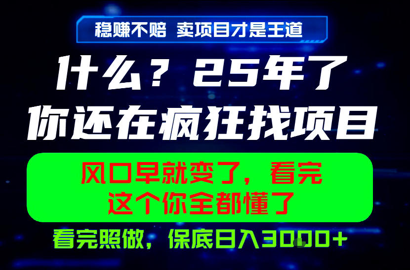 26年,请不要疯狂的找项目做了!卖项目才是真的稳賺不赔,看完照做,保底日入1k+【揭秘】网创吧-网创项目资源站-副业项目-创业项目-搞钱项目网创吧