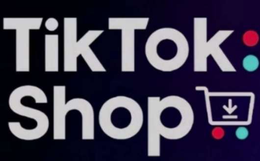 TikTokShop跨境电商0-1实战，手把手教你低成本启动海外市场网创吧-网创项目资源站-副业项目-创业项目-搞钱项目网创吧