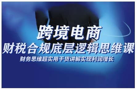 跨境电商财稅合规底层逻辑思维课,财务思维超实用于货讲解实现利润增长网创吧-网创项目资源站-副业项目-创业项目-搞钱项目网创吧