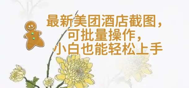 【轻云】最新美团酒店截图,可批量操作,小白也能轻松上手网创吧-网创项目资源站-副业项目-创业项目-搞钱项目网创吧