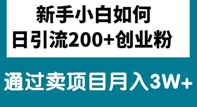 (10843期)新手小白日引流200+创业粉,通过卖项目月入3W+网创吧-网创项目资源站-副业项目-创业项目-搞钱项目网创吧