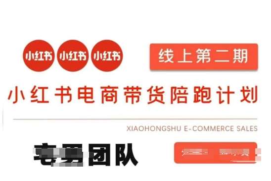 小红书电商带货课2期，月利润20个的小红书电商的有货源，无货源，虚拟产品，付费投流等整套玩法网创吧-网创项目资源站-副业项目-创业项目-搞钱项目网创吧