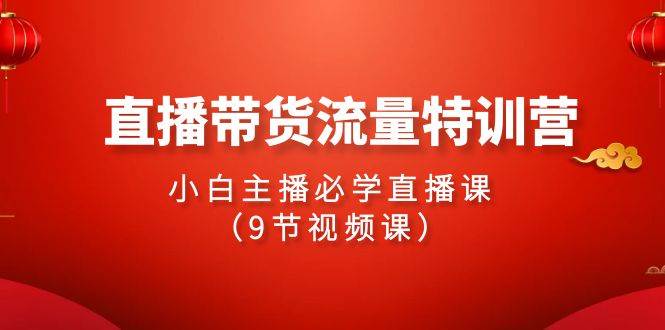 (9592期)2024直播带货流量特训营,小白主播必学直播课(9节视频课)网创吧-网创项目资源站-副业项目-创业项目-搞钱项目网创吧