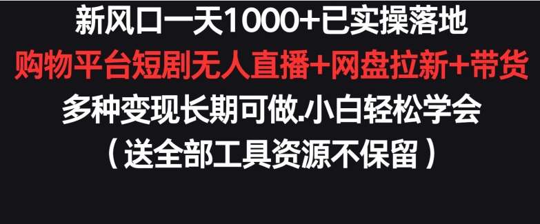 新风口一天1000+已实操落地购物平台短剧无人直播+网盘拉新+带货多种变现长期可做【揭秘】网创吧-网创项目资源站-副业项目-创业项目-搞钱项目网创吧