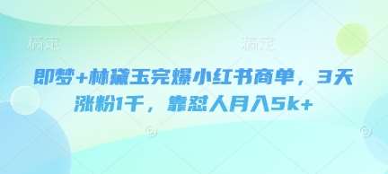 即梦+林黛玉完爆小红书商单，3天涨粉1千，靠怼人月入5k+网创吧-网创项目资源站-副业项目-创业项目-搞钱项目网创吧
