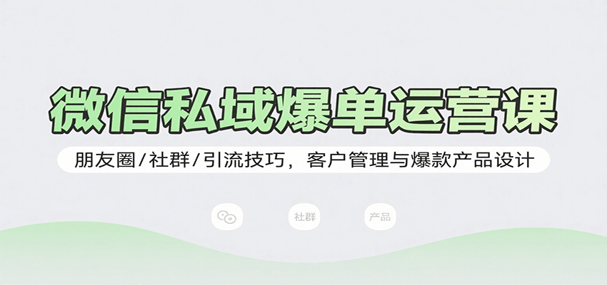 微信私域爆单运营课：朋友圈/社群/引流技巧，客户管理与爆款产品设计网创吧-网创项目资源站-副业项目-创业项目-搞钱项目网创吧