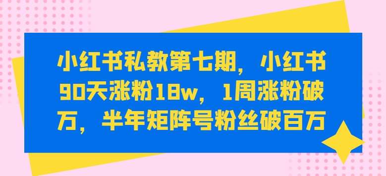 小红书私教第七期,小红书90天涨粉18w,1周涨粉破万,半年矩阵号粉丝破百万网创吧-网创项目资源站-副业项目-创业项目-搞钱项目网创吧