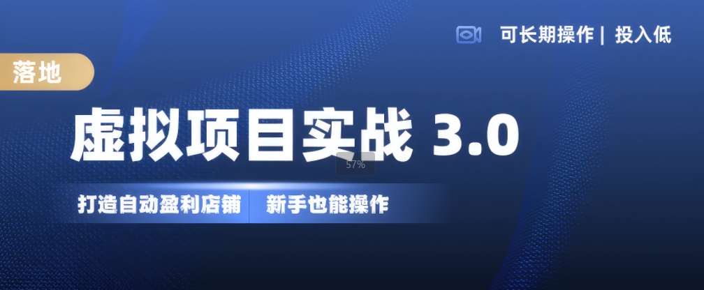 虚拟项目实战3.0,打造自动盈利店铺,可长期操作投入低,新手也能操作网创吧-网创项目资源站-副业项目-创业项目-搞钱项目网创吧