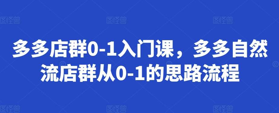 多多店群0-1入门课,多多自然流店群从0-1的思路流程网创吧-网创项目资源站-副业项目-创业项目-搞钱项目网创吧