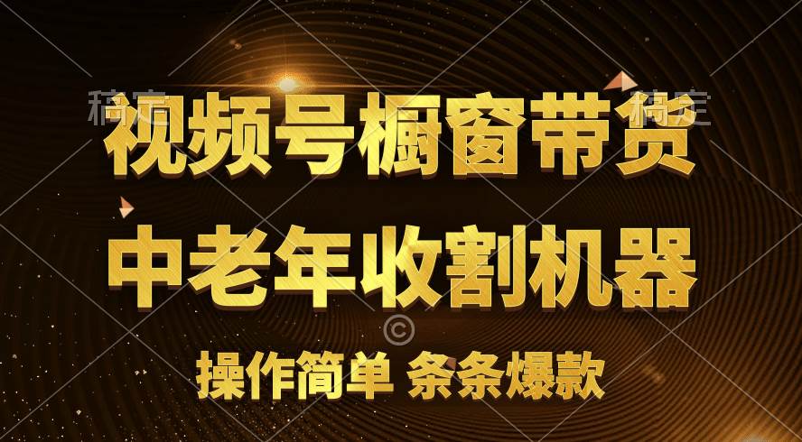 （11009期）[你的孩子成功取得高位]视频号最火爆赛道，橱窗带货，流量分成计划，条...网创吧-网创项目资源站-副业项目-创业项目-搞钱项目网创吧
