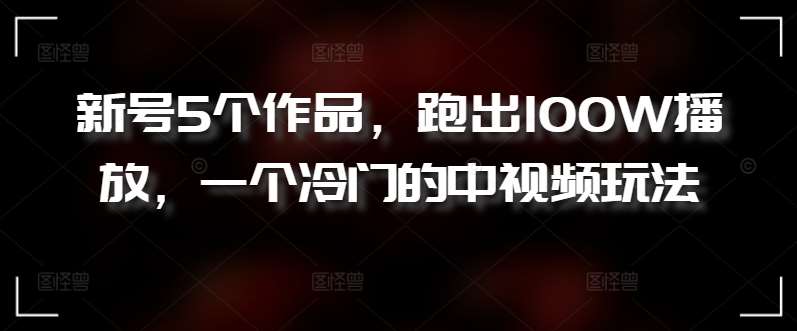 新号5个作品,跑出100W播放,一个冷门的中视频玩法【揭秘】网创吧-网创项目资源站-副业项目-创业项目-搞钱项目网创吧