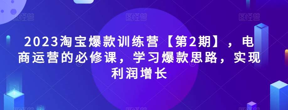 2023淘宝爆款训练营【第2期】,电商运营的必修课,学习爆款思路,实现利润增长网创吧-网创项目资源站-副业项目-创业项目-搞钱项目网创吧
