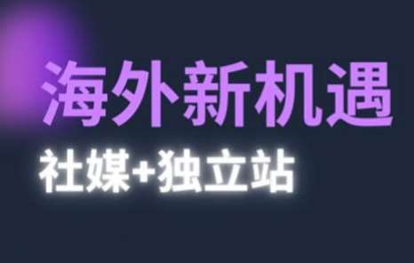 2025出海新机遇(社媒+独立站),海外新机遇,实现独立站的高效运营与出海网创吧-网创项目资源站-副业项目-创业项目-搞钱项目网创吧