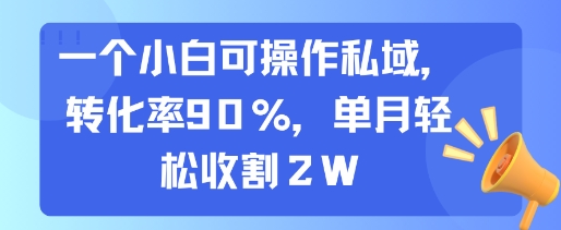 一个小白可操作私域,转化率90%,单月轻松收割2W网创吧-网创项目资源站-副业项目-创业项目-搞钱项目网创吧