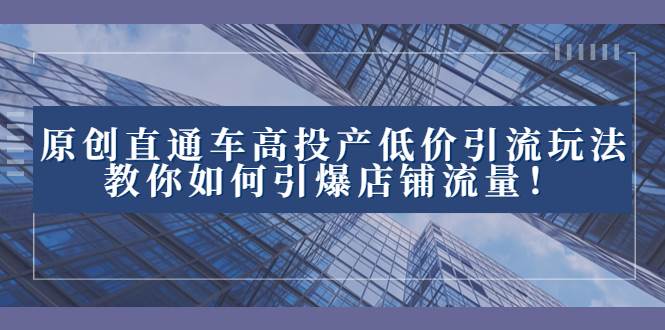 （8197期）2023直通车高投产低价引流玩法，教你如何引爆店铺流量！网创吧-网创项目资源站-副业项目-创业项目-搞钱项目网创吧