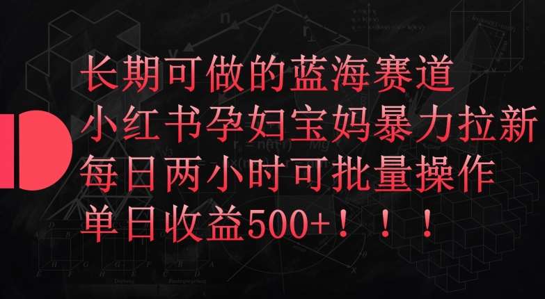 长期可做的蓝海赛道,小红书孕妇宝妈暴力拉新玩法,每日两小时可批量操作,单日收益500+【揭秘】网创吧-网创项目资源站-副业项目-创业项目-搞钱项目网创吧