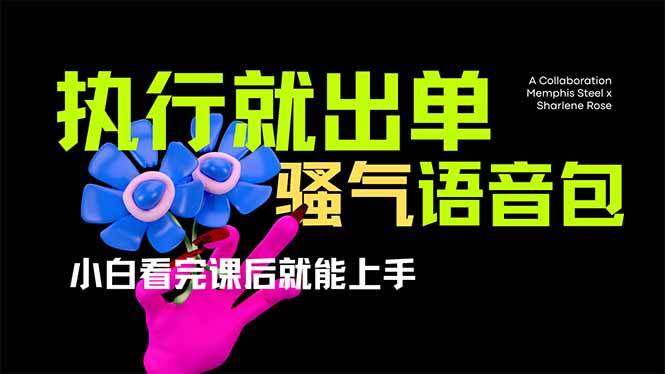 (14170期)爆火全网的开车导航骚气语音包,只要执行就出单,小白看完课程就能实操...网创吧-网创项目资源站-副业项目-创业项目-搞钱项目网创吧