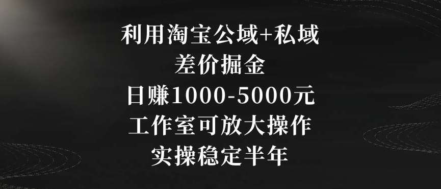 利用淘宝公域+私域差价掘金,日赚1000-5000元,工作室可放大操作,实操稳定半年【揭秘】网创吧-网创项目资源站-副业项目-创业项目-搞钱项目网创吧
