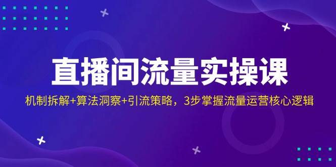 (14122期)直播间流量实操课:机制拆解+算法洞察+引流策略,3步掌握流量运营核心逻辑网创吧-网创项目资源站-副业项目-创业项目-搞钱项目网创吧