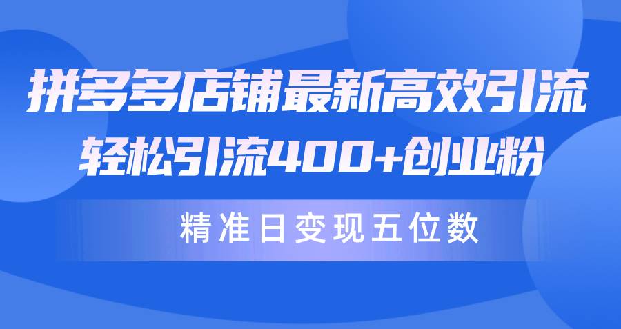 （10041期）拼多多店铺最新高效引流术，轻松引流400+创业粉，精准日变现五位数！网创吧-网创项目资源站-副业项目-创业项目-搞钱项目网创吧