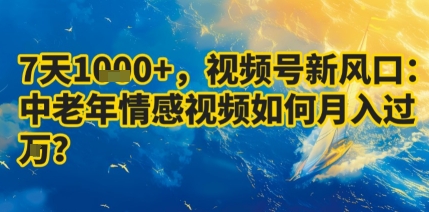 7天收益1k+,视频号新风口:中老年情感视频如何月入过W?网创吧-网创项目资源站-副业项目-创业项目-搞钱项目网创吧