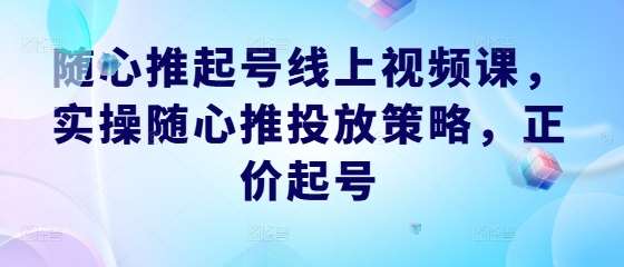 随心推起号线上视频课,实操随心推投放策略,正价起号网创吧-网创项目资源站-副业项目-创业项目-搞钱项目网创吧