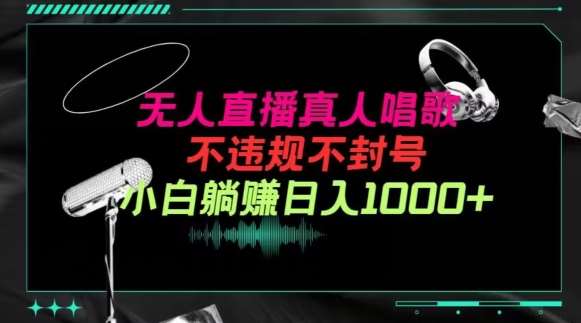抖音24小时无人直播音乐,不违规,不封号纯撸音浪,小白实操当天日入1000+【揭秘】网创吧-网创项目资源站-副业项目-创业项目-搞钱项目网创吧
