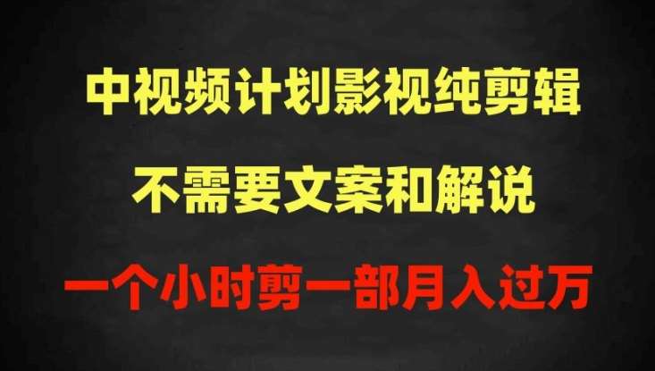 中视频计划影视纯剪辑,不需要文案和解说,一个小时剪一部,100%过原创月入过万【揭秘】网创吧-网创项目资源站-副业项目-创业项目-搞钱项目网创吧
