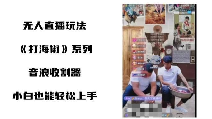 (8661期)打海椒无人直播整蛊项目,小白轻松上手撸音浪收割器(教程+工具+素材)网创吧-网创项目资源站-副业项目-创业项目-搞钱项目网创吧
