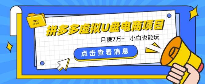 拼多多虚拟U盘电商红利项目:月赚2万+,新手小白也能玩网创吧-网创项目资源站-副业项目-创业项目-搞钱项目网创吧