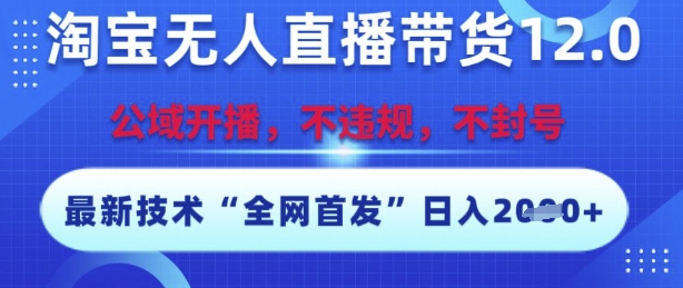 淘宝无人直播带货12.0,最新技术,不封号,不违规,操作简单,开播爆单,日入多张【揭秘】网创吧-网创项目资源站-副业项目-创业项目-搞钱项目网创吧