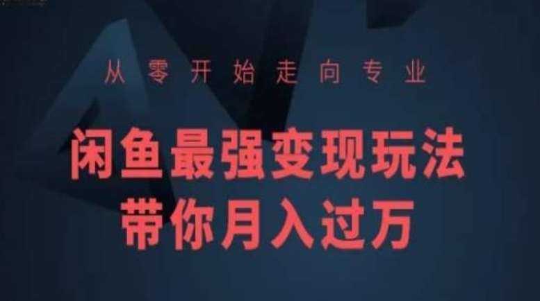 从零开始走向专业,闲鱼最强变现玩法带你月入过万网创吧-网创项目资源站-副业项目-创业项目-搞钱项目网创吧