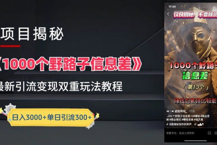 抖音最新一千个野路子玩法教程,变现+引流双重玩法,野路子信息差网创吧-网创项目资源站-副业项目-创业项目-搞钱项目网创吧