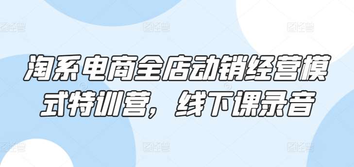 淘系电商全店动销经营模式特训营,线下课录音网创吧-网创项目资源站-副业项目-创业项目-搞钱项目网创吧