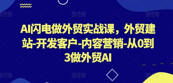 AI闪电做外贸实战课,外贸建站-开发客户-内容营销-从0到3做外贸AI网创吧-网创项目资源站-副业项目-创业项目-搞钱项目网创吧
