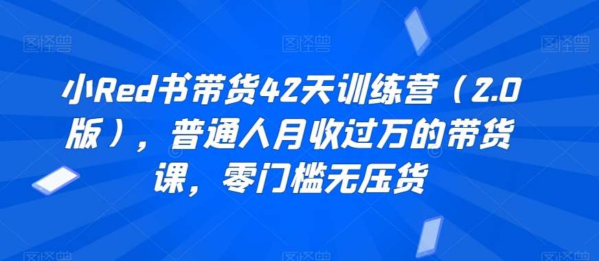 小Red书带货42天训练营(2.0版),普通人月收过万的带货课,零门槛无压货网创吧-网创项目资源站-副业项目-创业项目-搞钱项目网创吧