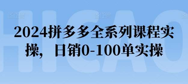 2024拼多多全系列课程实操,日销0-100单实操【必看】网创吧-网创项目资源站-副业项目-创业项目-搞钱项目网创吧