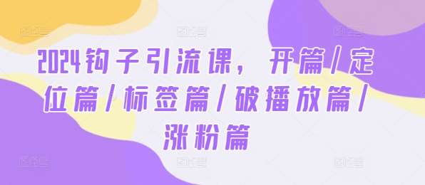 2024钩子引流课,开篇/定位篇/标签篇/破播放篇/涨粉篇网创吧-网创项目资源站-副业项目-创业项目-搞钱项目网创吧