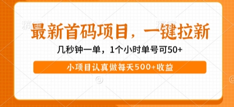 最新首码项目,操作最简单,收益高,一键拉新,1个小时单号可50+,小项目认真做每天5张+收益【揭秘】网创吧-网创项目资源站-副业项目-创业项目-搞钱项目网创吧