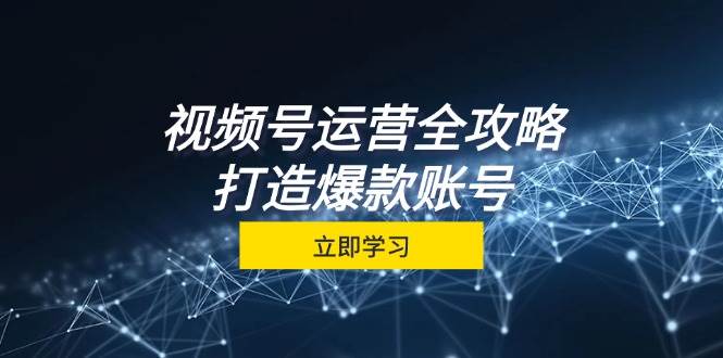 (12912期)视频号运营全攻略,从定位到成交一站式学习,视频号核心秘诀,打造爆款...网创吧-网创项目资源站-副业项目-创业项目-搞钱项目网创吧