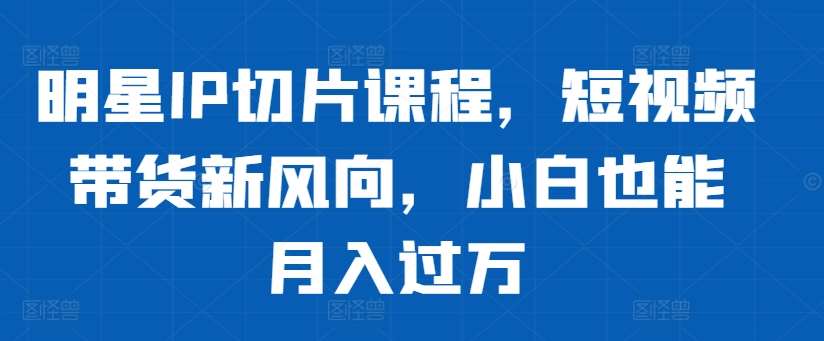 明星IP切片课程,短视频带货新风向,小白也能月入过万网创吧-网创项目资源站-副业项目-创业项目-搞钱项目网创吧