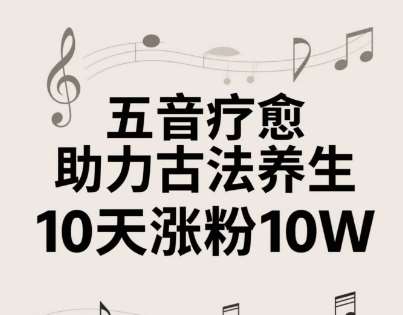 古法五音养生教程,五音疗愈的视频的制作方法,2-4小时就能学会,作者10天涨粉10W网创吧-网创项目资源站-副业项目-创业项目-搞钱项目网创吧