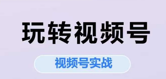 玩转视频号,视频号实战系列课网创吧-网创项目资源站-副业项目-创业项目-搞钱项目网创吧