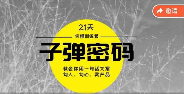 《子弹密码训练营》-用一句话文案勾人勾心卖产品，21天学到顶尖文案大师策略和技巧网创吧-网创项目资源站-副业项目-创业项目-搞钱项目网创吧