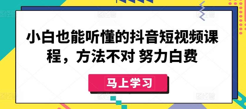 小白也能听懂的抖音短视频课程,方法不对 努力白费网创吧-网创项目资源站-副业项目-创业项目-搞钱项目网创吧