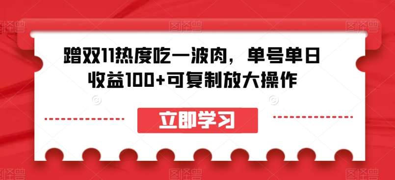 蹭双11热度吃一波肉,单号单日收益100+可复制放大操作【揭秘】网创吧-网创项目资源站-副业项目-创业项目-搞钱项目网创吧